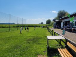 whatsapp image 2025-07-28 at 06.39.57 4